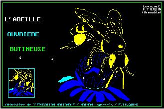 l'abeille ouvrière butineuse